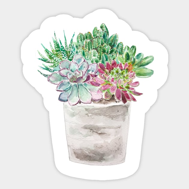 succulents and cactus in pot watercolor 2020 Sticker by colorandcolor